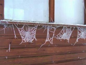 Webs in a line